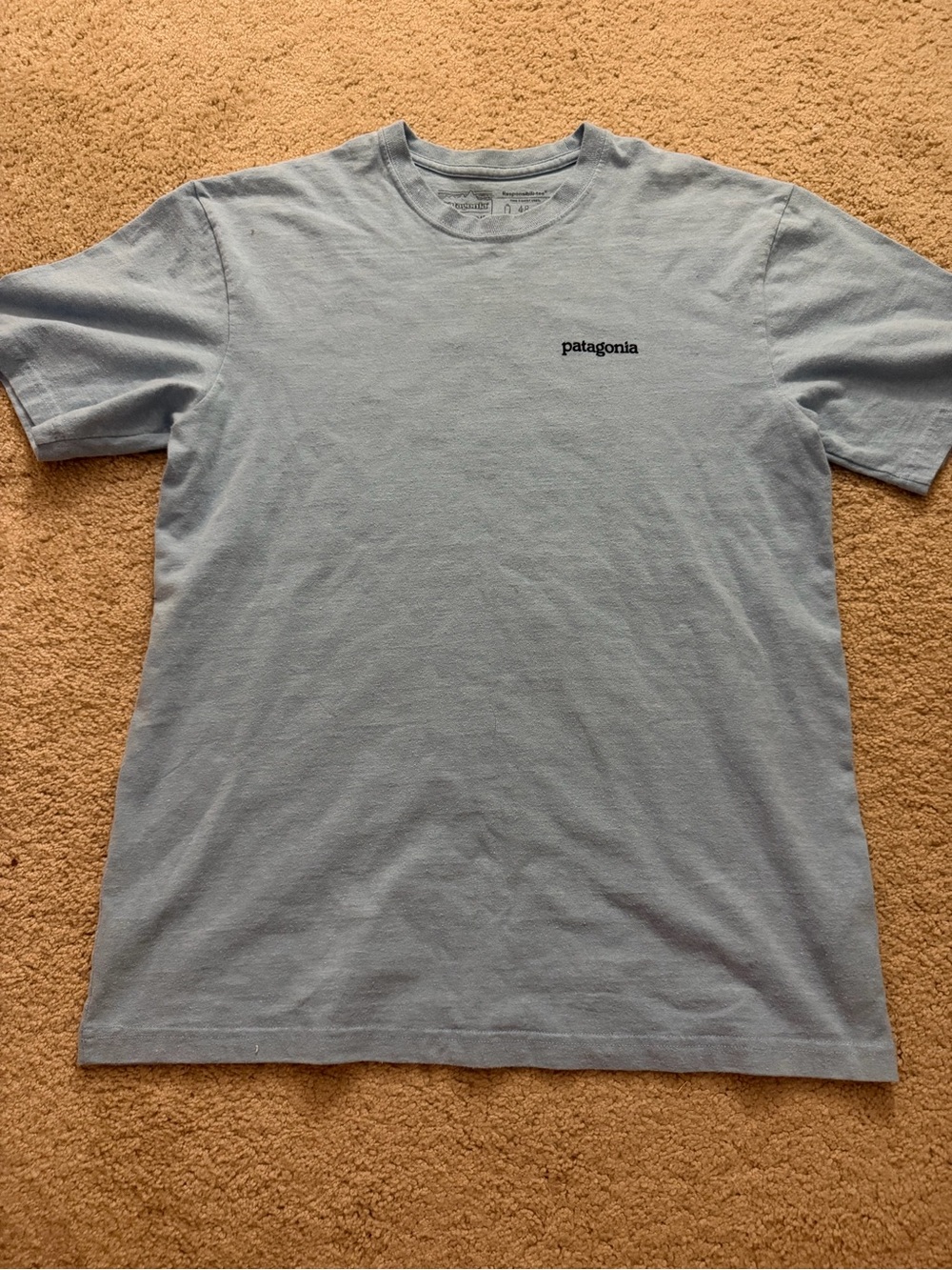 Patagonia Men’s Light Blue Logo T-Shirt Size Small